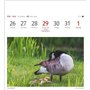 Calendrier 2025 - Calendrier hebdomadaire avec 53 cartes postales : calendrier hebdomadaire au format carte postale avec portrai