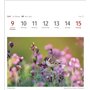 Calendrier 2025 - Calendrier hebdomadaire avec 53 cartes postales : calendrier hebdomadaire au format carte postale avec portrai