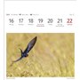 Calendrier 2025 - Calendrier hebdomadaire avec 53 cartes postales : calendrier hebdomadaire au format carte postale avec portrai