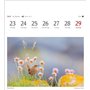 Calendrier 2025 - Calendrier hebdomadaire avec 53 cartes postales : calendrier hebdomadaire au format carte postale avec portrai
