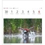 Calendrier 2025 - Calendrier hebdomadaire avec 53 cartes postales : calendrier hebdomadaire au format carte postale avec portrai