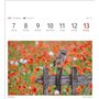 Calendrier 2025 - Calendrier hebdomadaire avec 53 cartes postales : calendrier hebdomadaire au format carte postale avec portrai
