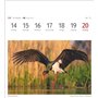Calendrier 2025 - Calendrier hebdomadaire avec 53 cartes postales : calendrier hebdomadaire au format carte postale avec portrai