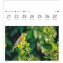 Calendrier 2025 - Calendrier hebdomadaire avec 53 cartes postales : calendrier hebdomadaire au format carte postale avec portrai