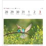 Calendrier 2025 - Calendrier hebdomadaire avec 53 cartes postales : calendrier hebdomadaire au format carte postale avec portrai