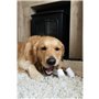 Jouet pour chien Nylabone Marron Beurre de cacahuètes L