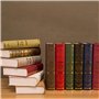 HUANRU Livre Simulation Livre Photographie Prop Livres Anciens Livres en Faux Cuir Boîtes Lecture en Faux Livre Ancienne Bibliot