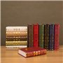 HUANRU Livre Simulation Livre Photographie Prop Livres Anciens Livres en Faux Cuir Boîtes Lecture en Faux Livre Ancienne Bibliot