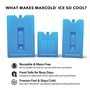 IGLOO Bloc réfrigérants pour glacière, Taille Moyenne, Bleu 25434