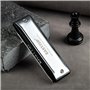 East top Harmonica Advanced Overblow and Bending Harmonica 10 trous Blues Mouth Orgue avec couverture argentée Harmonicas blues 