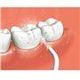 Panasonic Portable Oral Irrigator Produit de soins dentaires (Blanc)