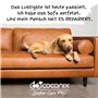 Coconix Kit de Réparation Cuir et Vinyle | Répare déchirures, Trous, Rayures et écaillages sur Meubles, sièges Auto et Vestes | 