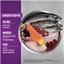 Orijen Kitten | Pack Double | 2 x 340 g | Aliment Sec Complet pour Chats | Peut Aider à Nourrir Les Chatons de manière optimale 