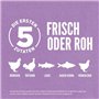 Orijen Kitten | Pack Double | 2 x 340 g | Aliment Sec Complet pour Chats | Peut Aider à Nourrir Les Chatons de manière optimale 