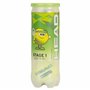 HEAD 3B Stage 1 Balle de Tennis Junior Vert