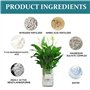 Nutriments liquides pour hydroponiques - Engrais pour nutriments hydroponiques 3.38fl.oz | Solution nutritive végétale | Nutrime