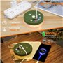 FOMYHEARD 10M Chaîne Lumineuse de Camping Enroulable, Chaîne lumineuse LED d'extérieur étanche 4 en 1 avec 9 modes d'éclairage, 