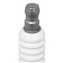 NGK - BOUGIE ALLUMAGE BOITE - B8EG