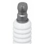 NGK - BOUGIE ALLUMAGE BOITE - B8EG