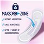 Prevail Coussinets de contrôle pour incontinence à absorption maximale