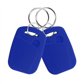 FTSTech 10pcs Porte-clés RFID Double Fréquence 125KHz et 13