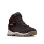 Columbia NEWTON RIDGE PLUS WATERPROOF AMPED Chaussures Montantes De Randonnée Et Trekking imperméables Femme