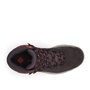 Columbia NEWTON RIDGE PLUS WATERPROOF AMPED Chaussures Montantes De Randonnée Et Trekking imperméables Femme, Marron (Timber x C