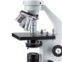 AmScope - Microscope monoculaire avancé 40X-2500X pour école à domicile - M500C