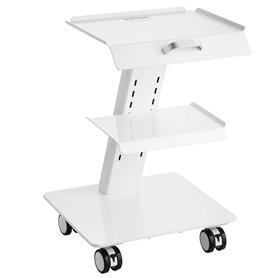 VEVOR Chariot de Laboratoire en Acier