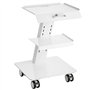VEVOR Chariot de Laboratoire en Acier