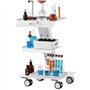 VEVOR Chariot de Laboratoire en Acier, Chariot Médical à 3 Couches, Chariot de Service Grande Capacité de Charge 100 kg avec Rou