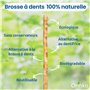 Désinfectant et Blanchissant - Écologique