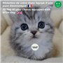 Puces universelles d'identification pour chatière électronique (lot de 3)
