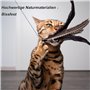 MAIYADUO Jouet pour Chat interactif Teaser Baguette avec 5 recharges Bell en Plumes et Animal l'exe
