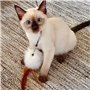 MAIYADUO Jouet pour Chat interactif Teaser Baguette avec 5 recharges Bell en Plumes et Animal l'exe