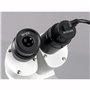 AmScope MD500-CK Microscope numérique 5 MP pour photo et vidéo avec USB et kit de calibrage