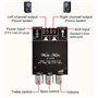 WANGCL ZK-1002MT Lot de 2 amplificateurs de caisson de basses Bluetooth 5.0 100 W haute puissance audio stéréo amplificateurs AU