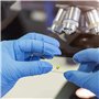 WANGCL Lot de 200 lames en verre pré-nettoyées pour microscope - Pour l'éducation biologique, les étudiants, les laboratoires - 