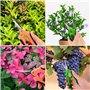 2 PièCes Secateur de Jardin, Ciseaux Jardinage Inoxydable, Ciseaux de Jardin de Haute PréCision, SéCateur Jardin Ergonomiques, S