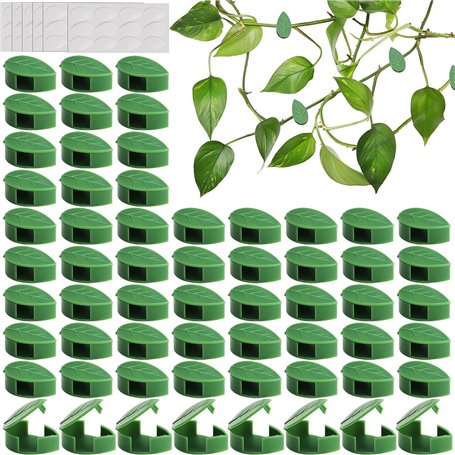 Prmape 60 Pieces Support Plante Grimpante
