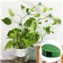 Prmape 60 Pieces Support Plante Grimpante, Plantes Grimpantes Clips de Fixation Vigne, Clips pour Plantes Grimpantes Auto-adhési