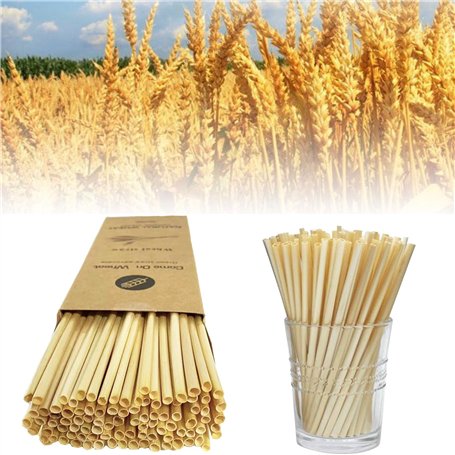 100 Pailles de blé bio de pailles écologiques pailles biodégradables respectueuses de l'environnement