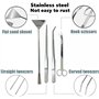 Plante Aquatique Outils