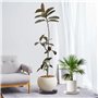 Planche à roulettes pour plantes, diamètre : 31 x 31 cm, support de pot de fleurs rond, capacité de charge 75 kg, avec roulettes