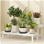 Planche à roulettes pour plantes, diamètre : 31 x 31 cm, support de pot de fleurs rond, capacité de charge 75 kg, avec roulettes