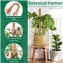 70cm Tuteur Monstera Pliable
