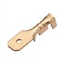 Heschen Lot de 100 cosses mâles à sertir rapides 6,3 mm non isolées