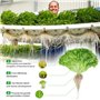 Roleadro 45W Lampe Led Horticole Full Spectrum Croissance Floraison Grow light Lampe Horticole led horticole lampe led horticole