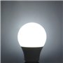 Ampoules LED Edison à vis E27, 3W (30W), 12V A50 GLS ES Globe Ampoule Blanc Froid - Idéal Pour Eclairage Solaire Hors Réseau Bat