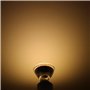 ampoules LED à